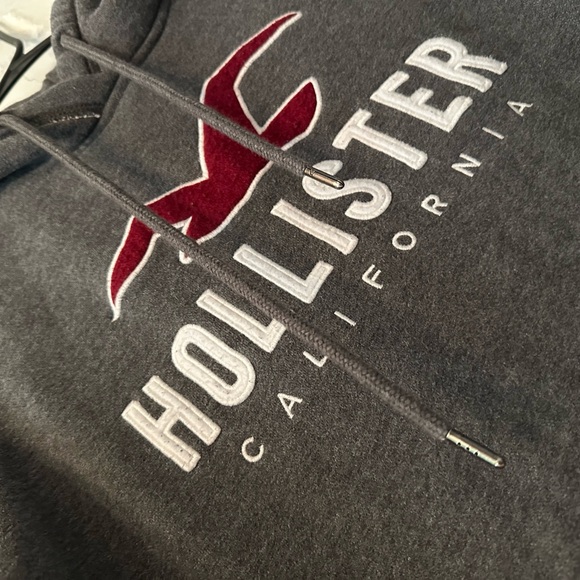 Hollister embroidered Hoodie - Picture 4 of 6